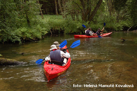 Meandry pod  Suleczynem