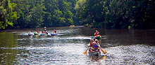 Canoe rental