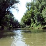 Nitra u Topoľčan