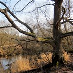 Před Starou Hlínou, průtok 2,5 m/s v Kazdovně