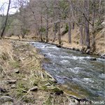 Střela