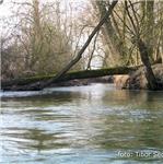 Únorové kvakeření na Loučné