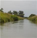 Středočeské bahňáky - Mrlina, Štítarský potok a Blatnice