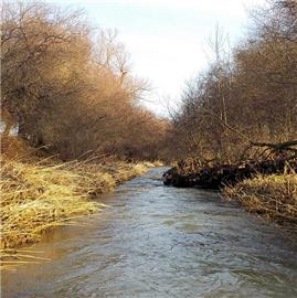 Středočeské bahňáky - Vrchlice a Klejnárka