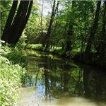 Opatovicky kanal za Bohdanci