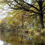 Podzimní řeky - Nežárka