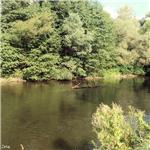 U tábořiště Rybárik