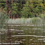 Vjezd na jezero Kryzne