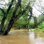 Meandry pod Balinami – Balinský Amazonas. Nedej Bůh, abyste museli přenášet