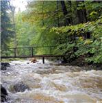 Nízké lávky, 15.10.2020, vdčt Otradov 5.7 m3/s, 32 cm