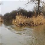 Soutok Štítarského potoka (vpravo) a Mrliny (km 15,1)